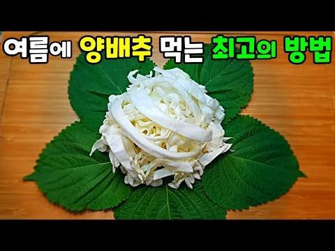 양배추 무침