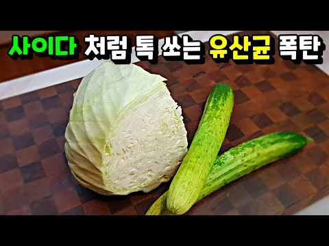 양배추 물김치