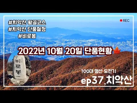 보리밥 정식