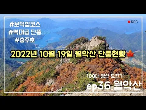 동태알탕