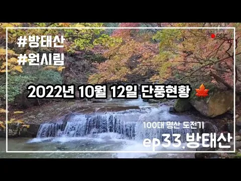 영광정 막국수와 청초수물회