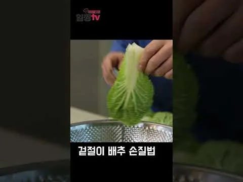 봄동전
