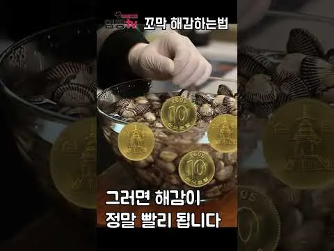 꼬막 해감하는 법