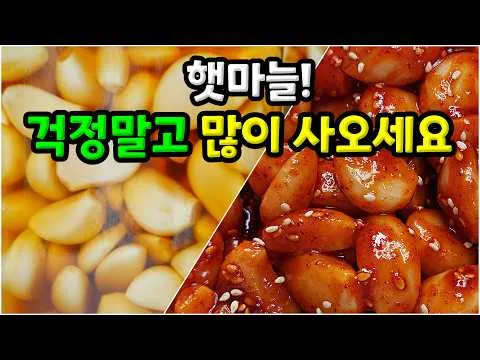 햇마늘 장아찌와 마늘무침