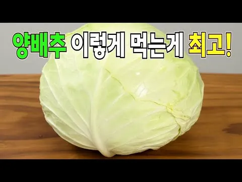 양배추 나물