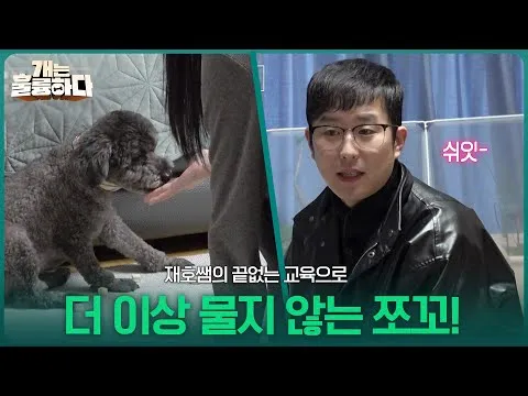 반려견 이식증 교정 교육