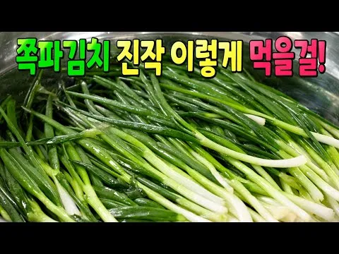 쪽파김치