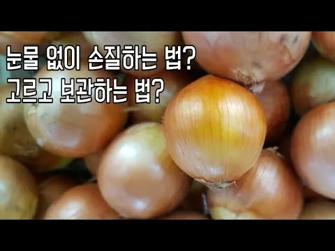 양파 오래 보관하는 방법