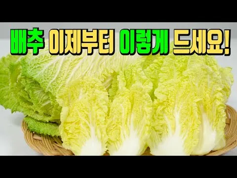배추전