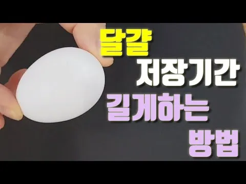 달걀 오래 보관하는 방법