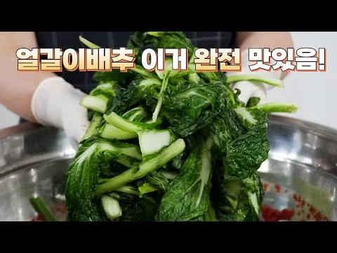얼갈이배추 김치