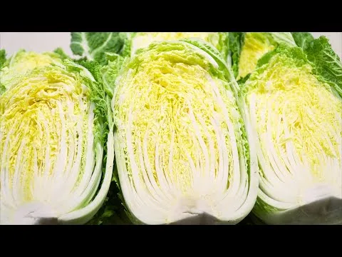 배추 절이는 법