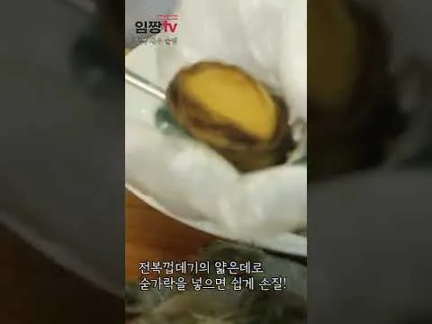 전복 손질법