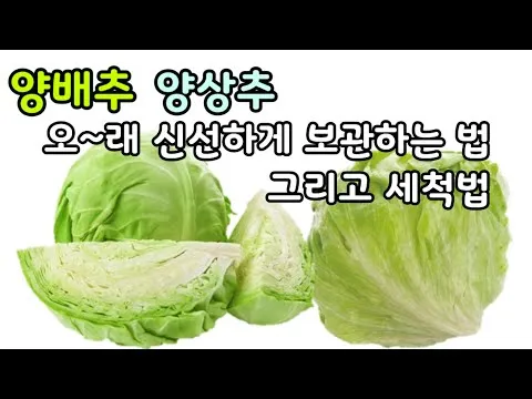 양배추와 양상추 신선 보관법