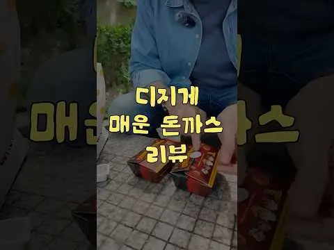디진다 돈까스