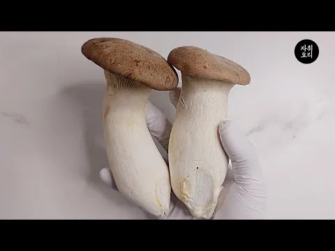 새송이버섯 덮밥